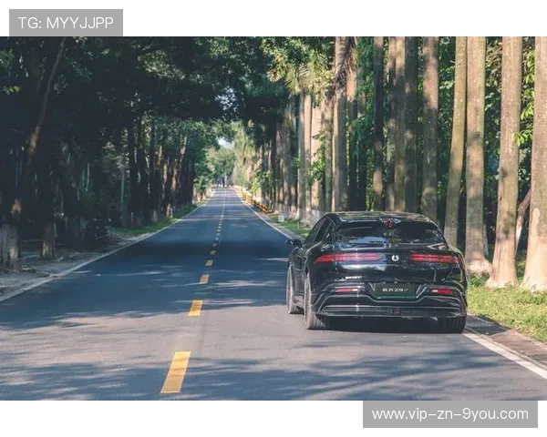 煞车与转弯的艺术：精准驾驶的背后机密